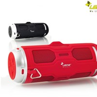 Marion Lambert's Portfolio